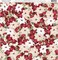 American Crafts Patterned Single-Sided Cardstock 12"X12"-Poinsettia